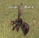 Giant Bee Picture